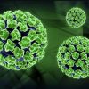 ویروس hpv