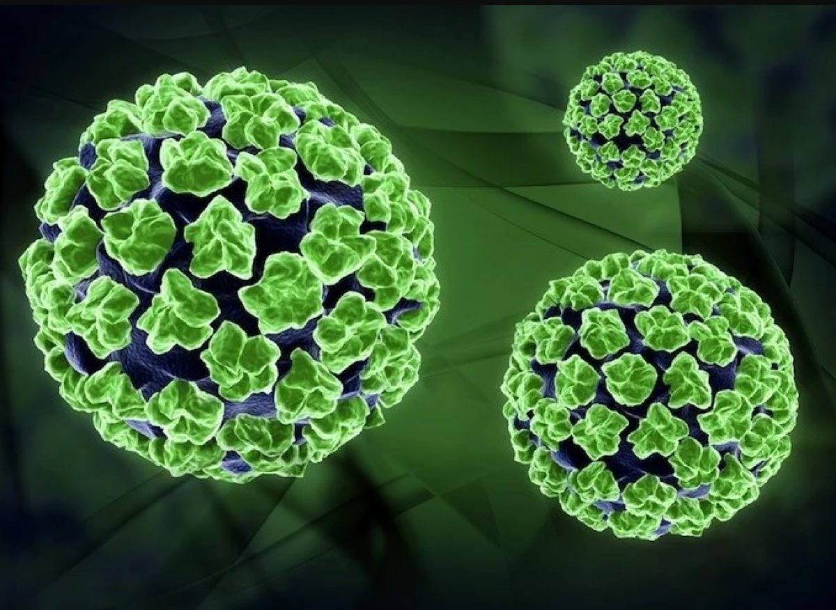ویروس hpv