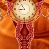 میزان fsh در یائسگی زودرس